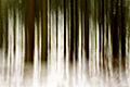 iPhoneArt Bäume, Siedelsbrunn